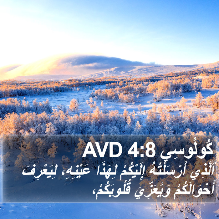 كُولُوسِي 4:8 AVD Bible Study