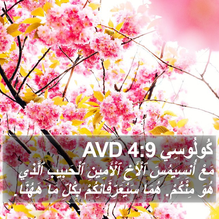 كُولُوسِي 4:9 AVD Bible Study