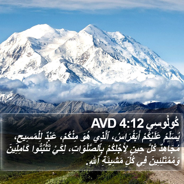 كُولُوسِي 4:12 AVD Bible Study