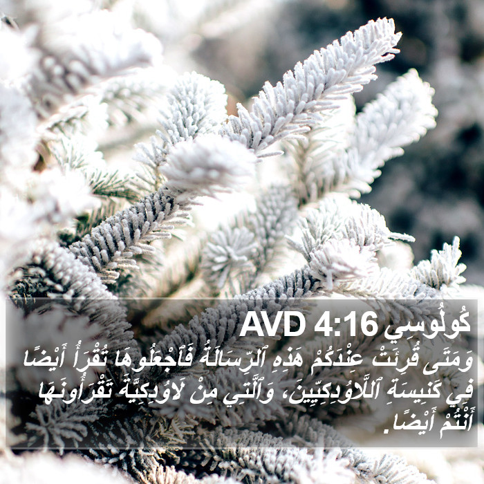 كُولُوسِي 4:16 AVD Bible Study