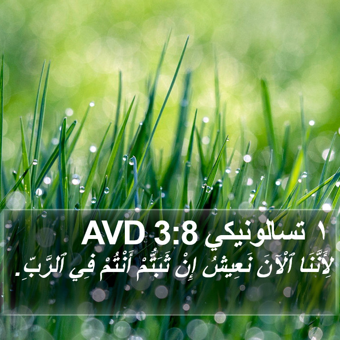 ١ تسالونيكي 3:8 AVD Bible Study