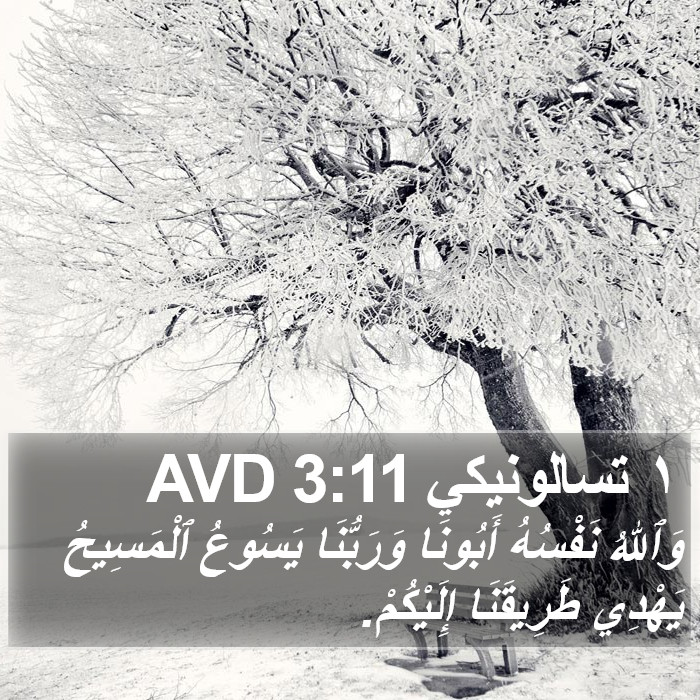 ١ تسالونيكي 3:11 AVD Bible Study