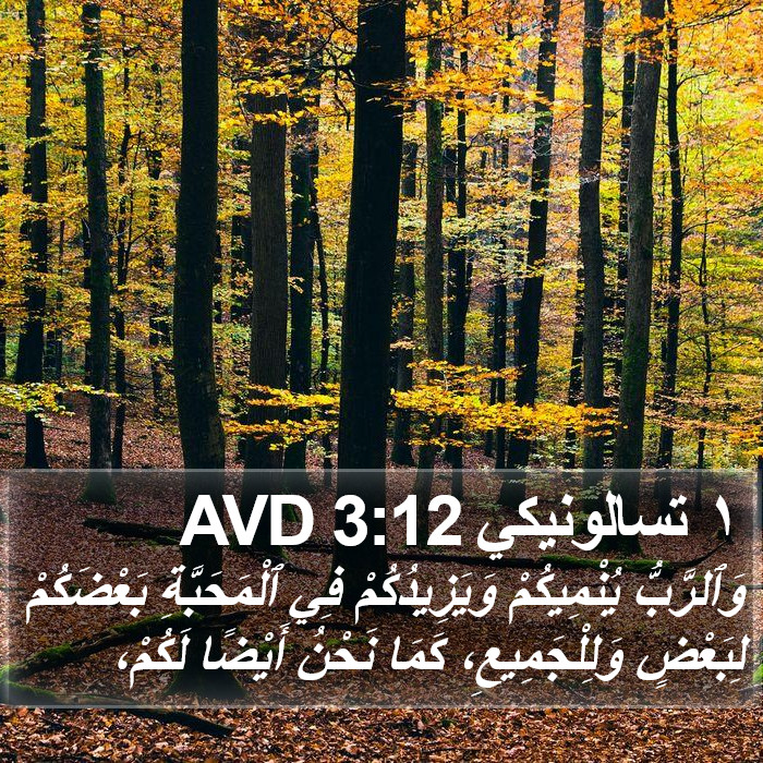 ١ تسالونيكي 3:12 AVD Bible Study