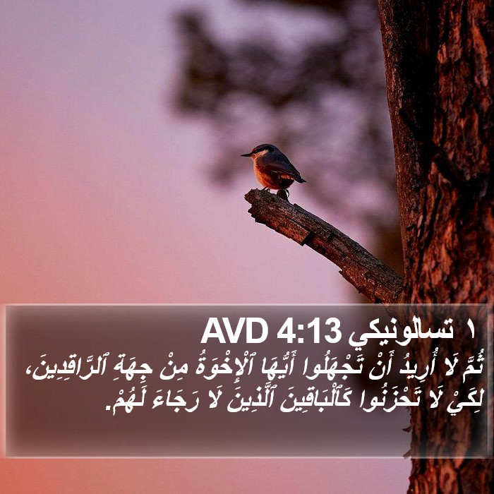 ١ تسالونيكي 4:13 AVD Bible Study