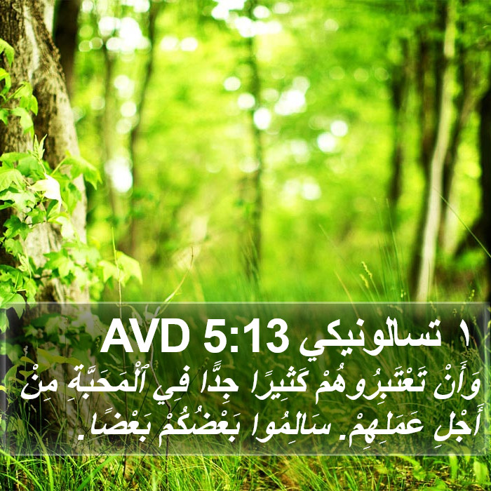 ١ تسالونيكي 5:13 AVD Bible Study