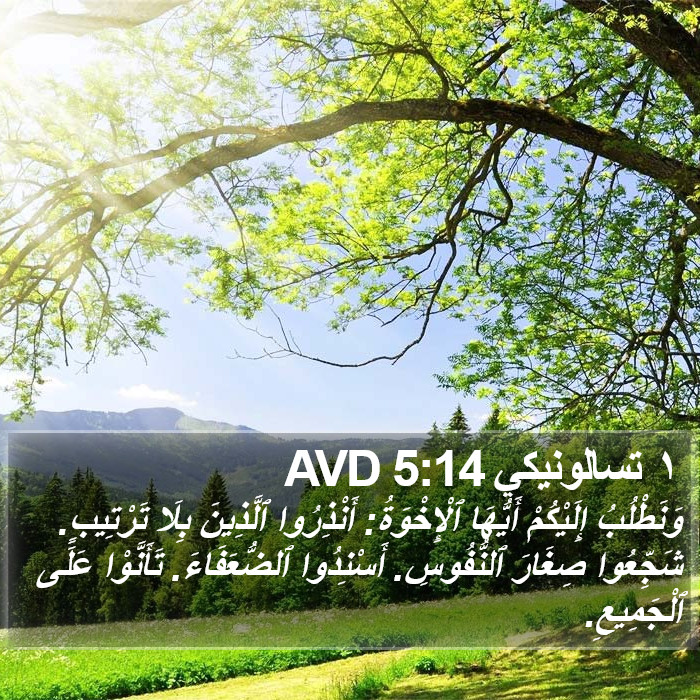 ١ تسالونيكي 5:14 AVD Bible Study