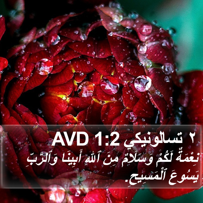 ٢ تسالونيكي 1:2 AVD Bible Study