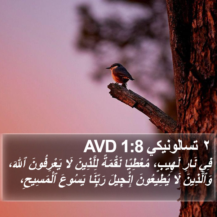 ٢ تسالونيكي 1:8 AVD Bible Study