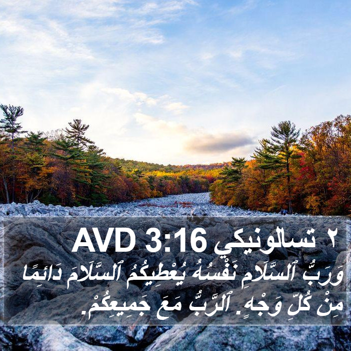 ٢ تسالونيكي 3:16 AVD Bible Study