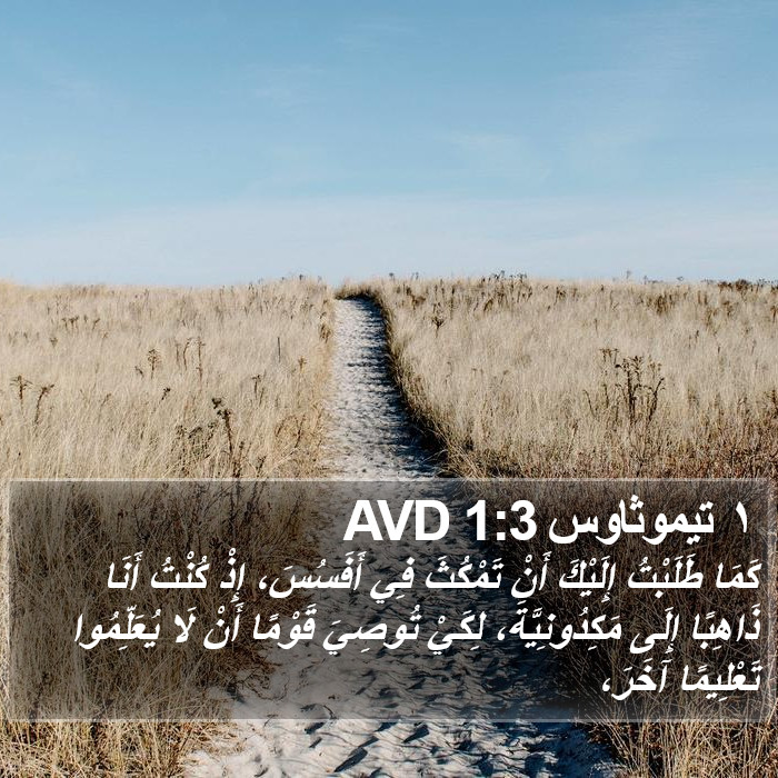 ١ تيموثاوس 1:3 AVD Bible Study