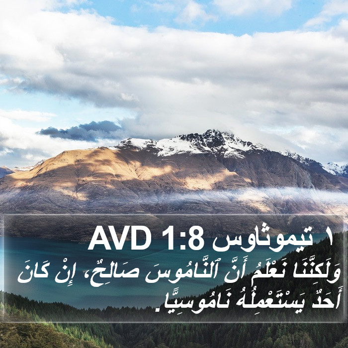 ١ تيموثاوس 1:8 AVD Bible Study