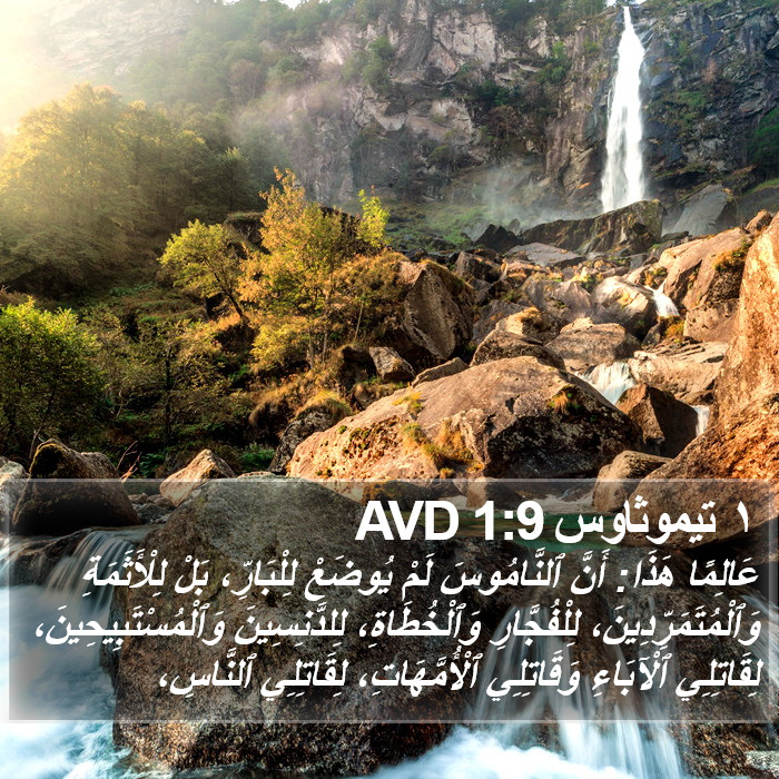 ١ تيموثاوس 1:9 AVD Bible Study