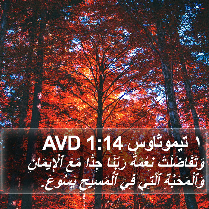 ١ تيموثاوس 1:14 AVD Bible Study