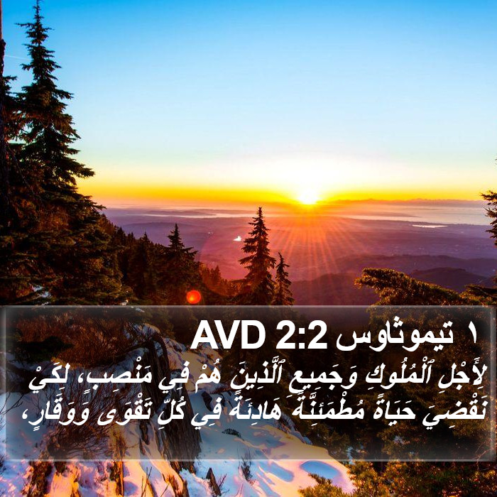 ١ تيموثاوس 2:2 AVD Bible Study