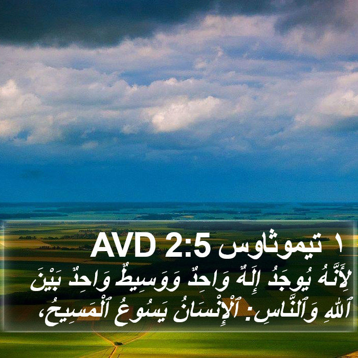 ١ تيموثاوس 2:5 AVD Bible Study