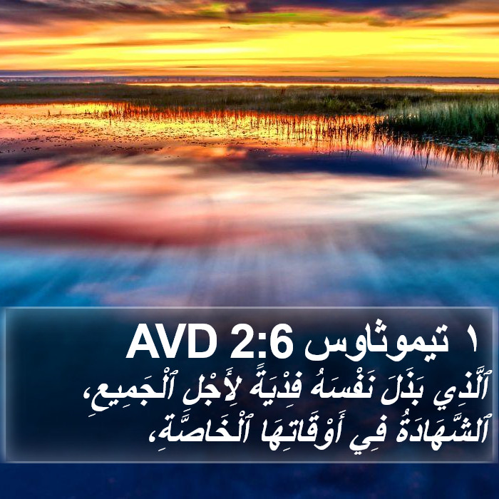 ١ تيموثاوس 2:6 AVD Bible Study
