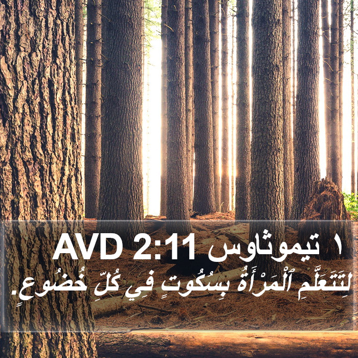 ١ تيموثاوس 2:11 AVD Bible Study