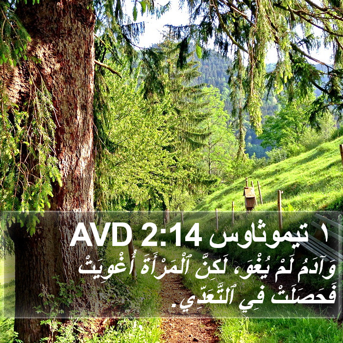 ١ تيموثاوس 2:14 AVD Bible Study