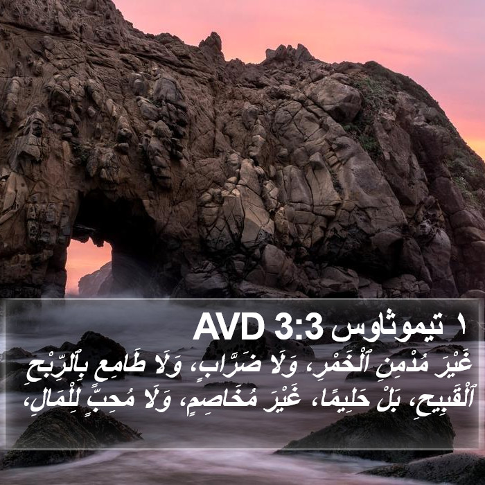 ١ تيموثاوس 3:3 AVD Bible Study