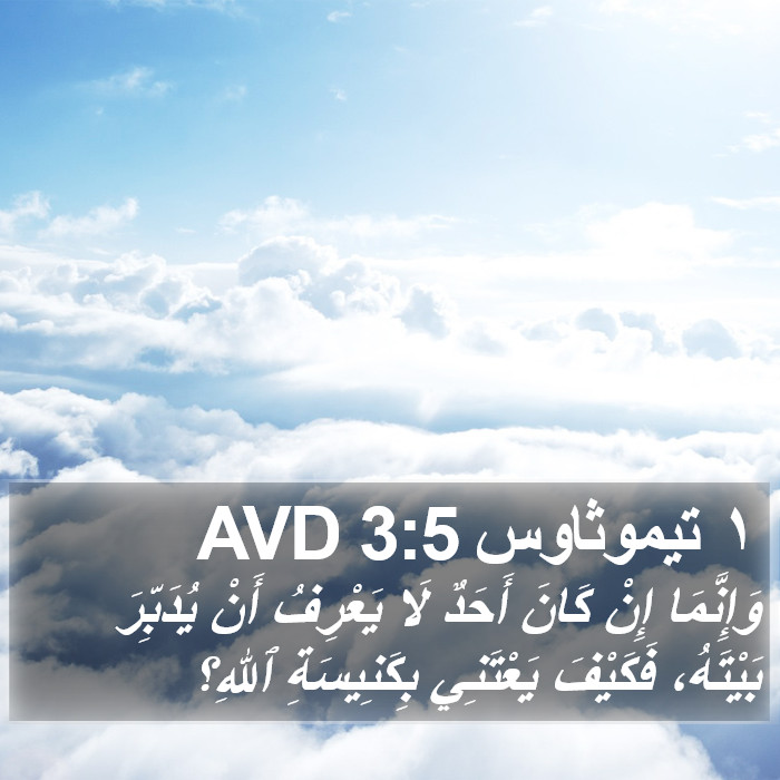 ١ تيموثاوس 3:5 AVD Bible Study