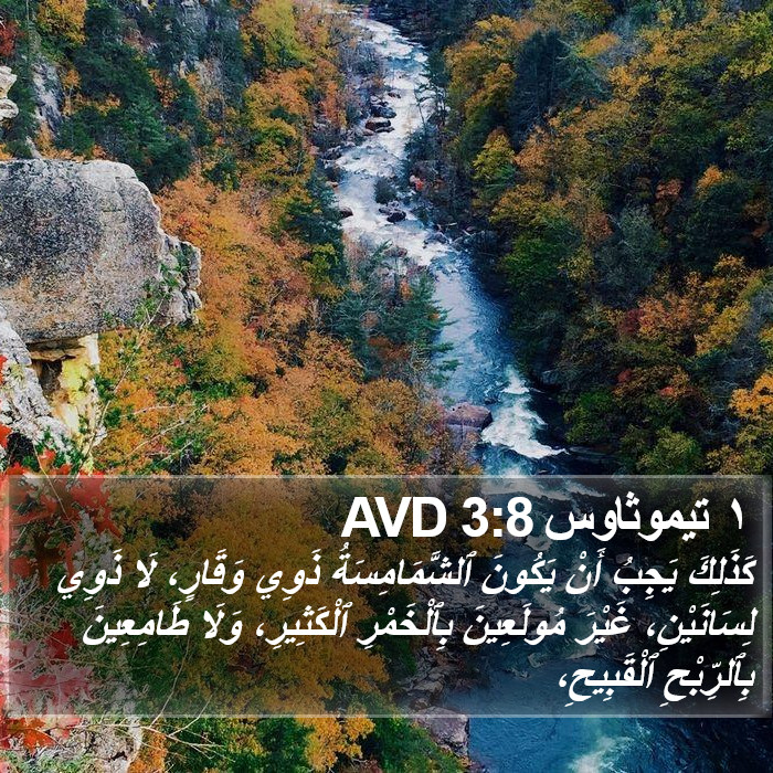 ١ تيموثاوس 3:8 AVD Bible Study