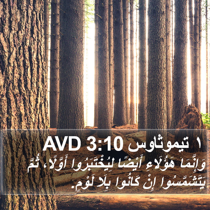 ١ تيموثاوس 3:10 AVD Bible Study