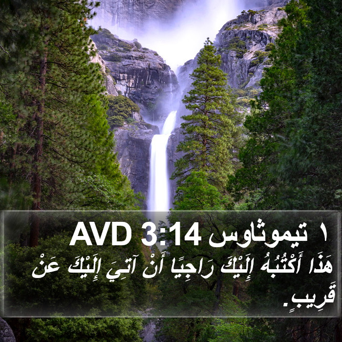 ١ تيموثاوس 3:14 AVD Bible Study