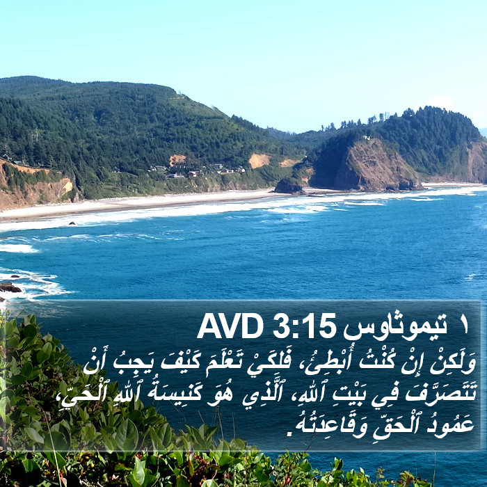 ١ تيموثاوس 3:15 AVD Bible Study