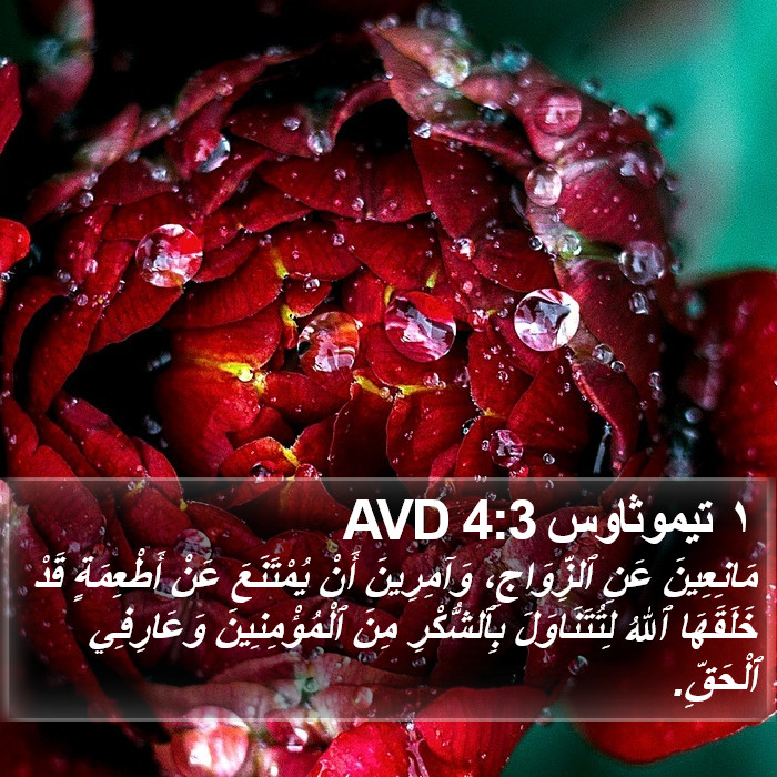 ١ تيموثاوس 4:3 AVD Bible Study