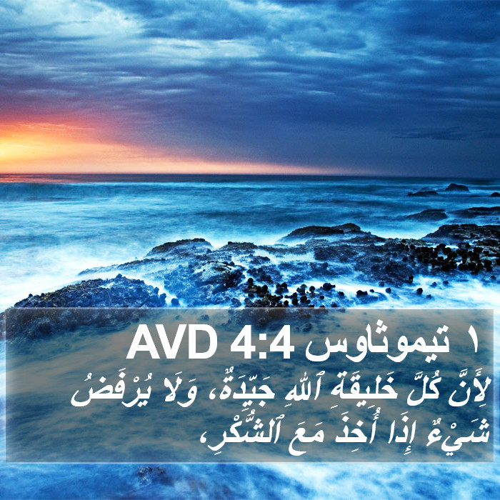 ١ تيموثاوس 4:4 AVD Bible Study