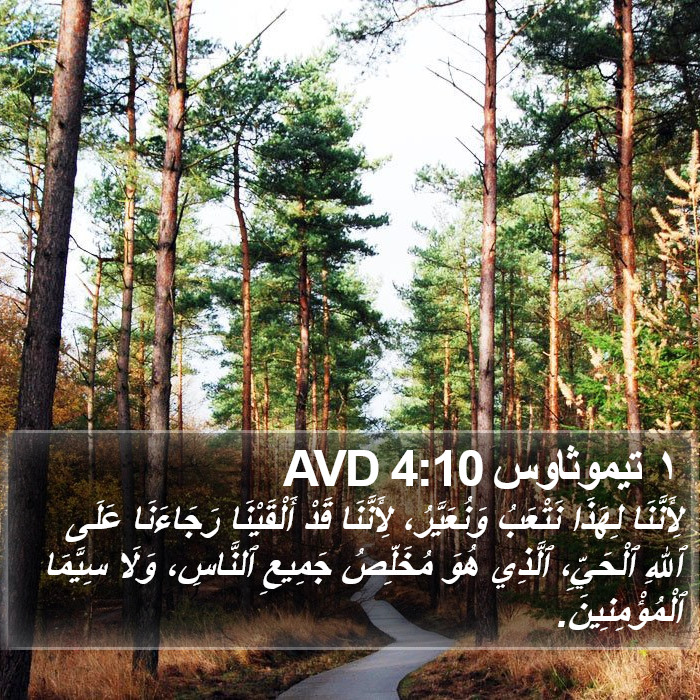 ١ تيموثاوس 4:10 AVD Bible Study