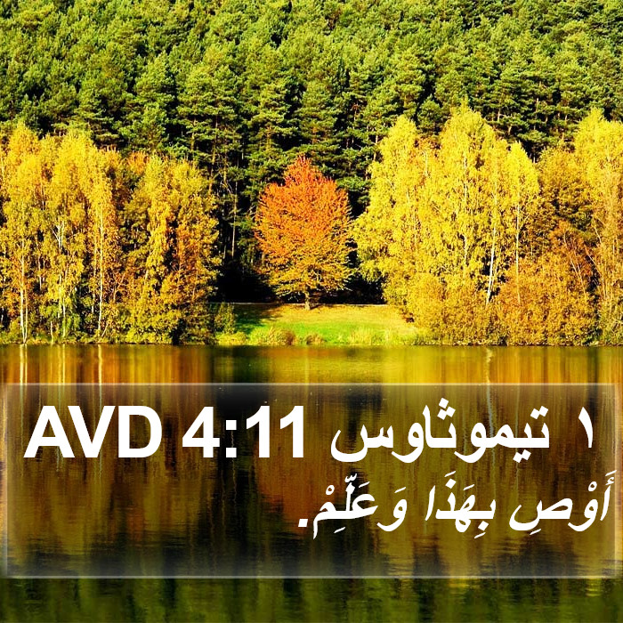 ١ تيموثاوس 4:11 AVD Bible Study