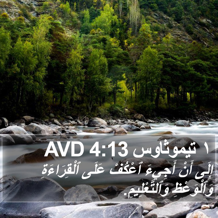 ١ تيموثاوس 4:13 AVD Bible Study