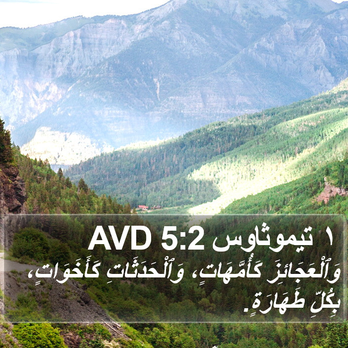 ١ تيموثاوس 5:2 AVD Bible Study