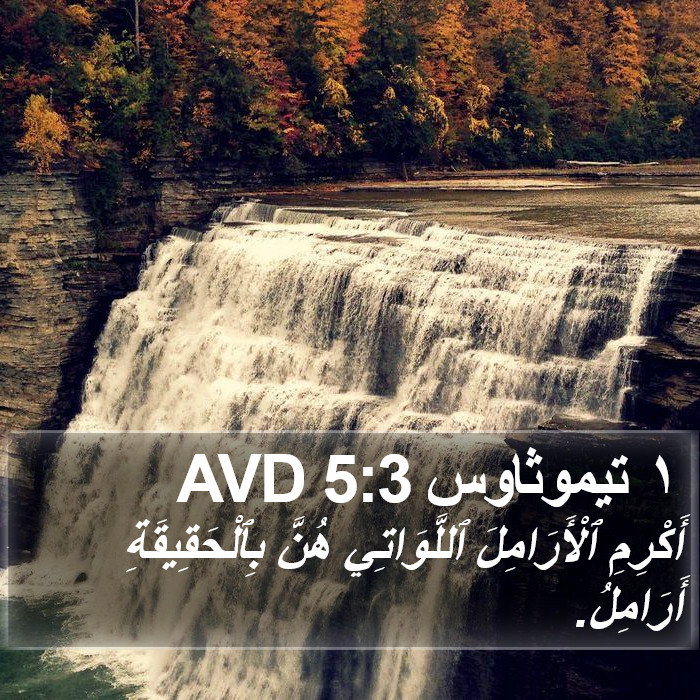 ١ تيموثاوس 5:3 AVD Bible Study