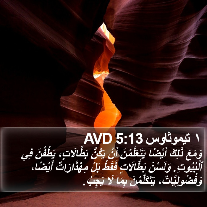 ١ تيموثاوس 5:13 AVD Bible Study