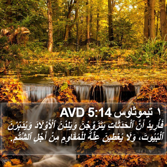١ تيموثاوس 5:14 AVD Bible Study