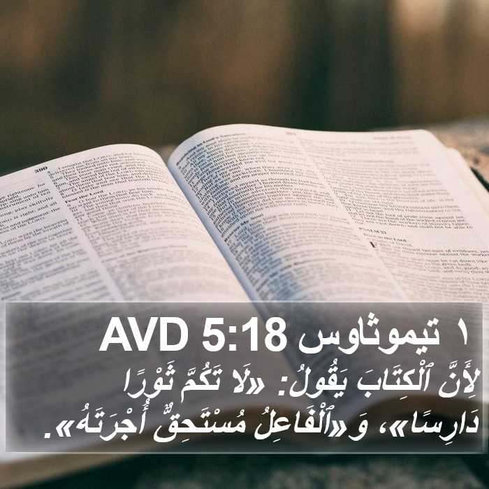١ تيموثاوس 5:18 AVD Bible Study