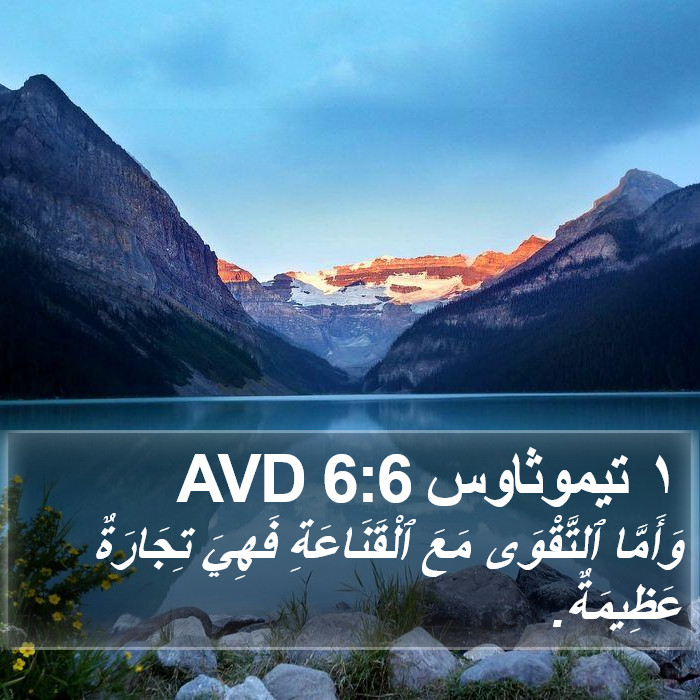 ١ تيموثاوس 6:6 AVD Bible Study