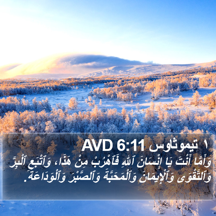 ١ تيموثاوس 6:11 AVD Bible Study
