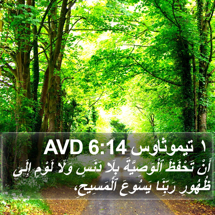 ١ تيموثاوس 6:14 AVD Bible Study