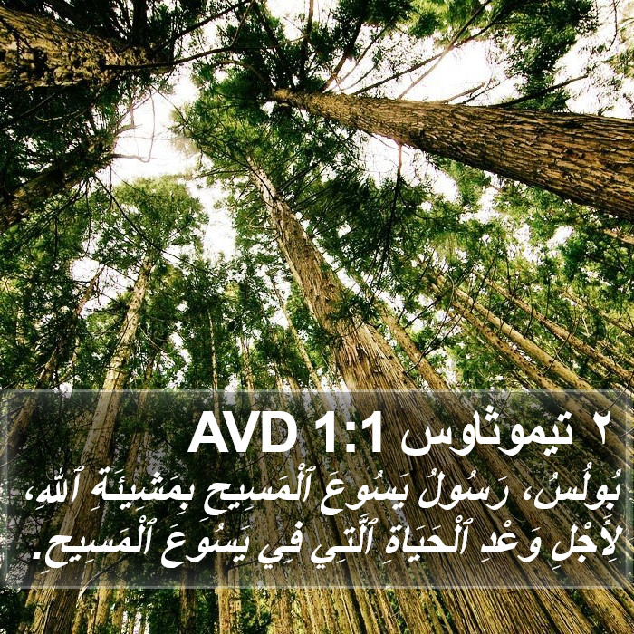 ٢ تيموثاوس 1:1 AVD Bible Study