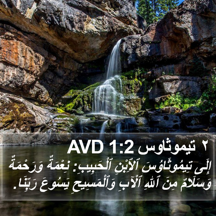 ٢ تيموثاوس 1:2 AVD Bible Study