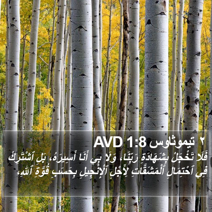 ٢ تيموثاوس 1:8 AVD Bible Study