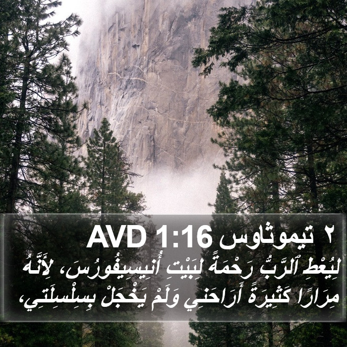 ٢ تيموثاوس 1:16 AVD Bible Study