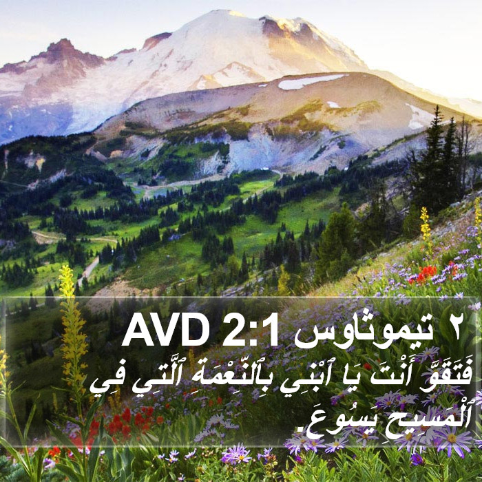 ٢ تيموثاوس 2:1 AVD Bible Study
