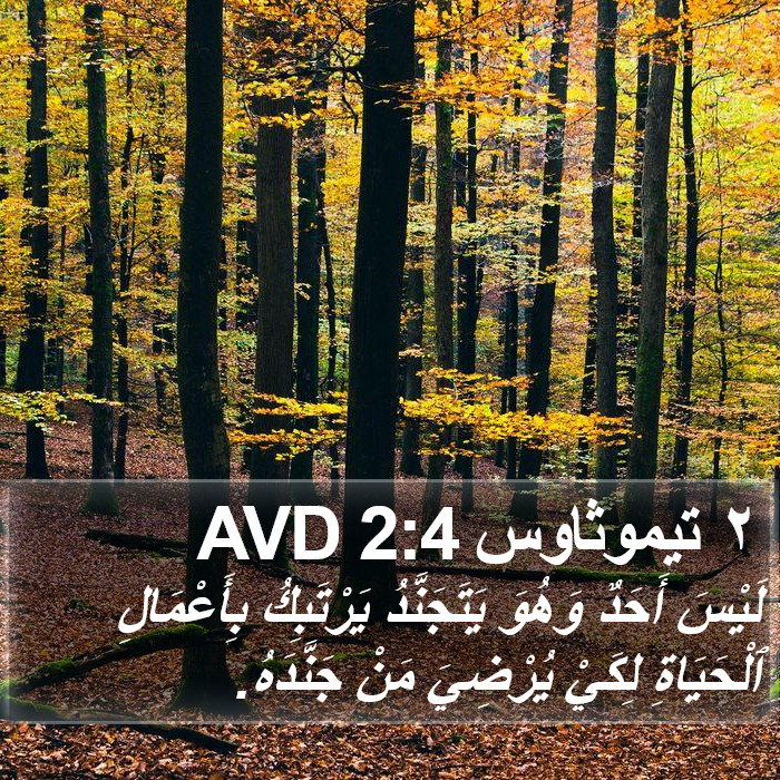 ٢ تيموثاوس 2:4 AVD Bible Study