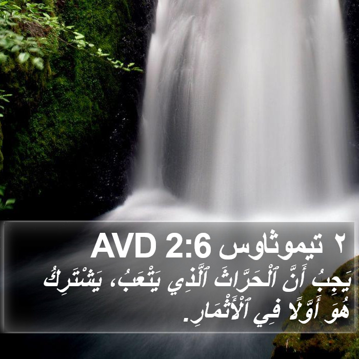 ٢ تيموثاوس 2:6 AVD Bible Study
