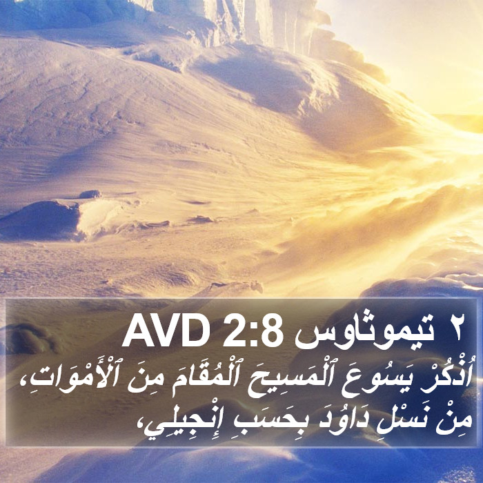 ٢ تيموثاوس 2:8 AVD Bible Study