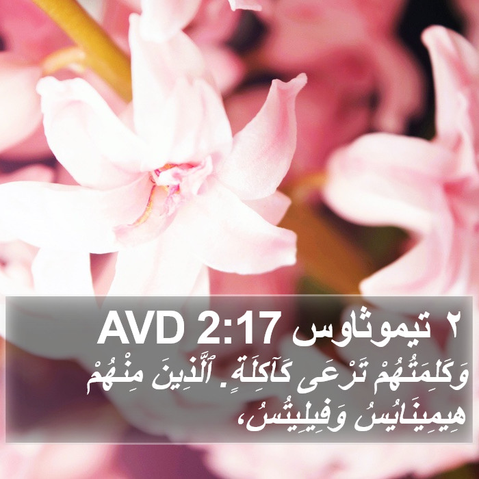 ٢ تيموثاوس 2:17 AVD Bible Study